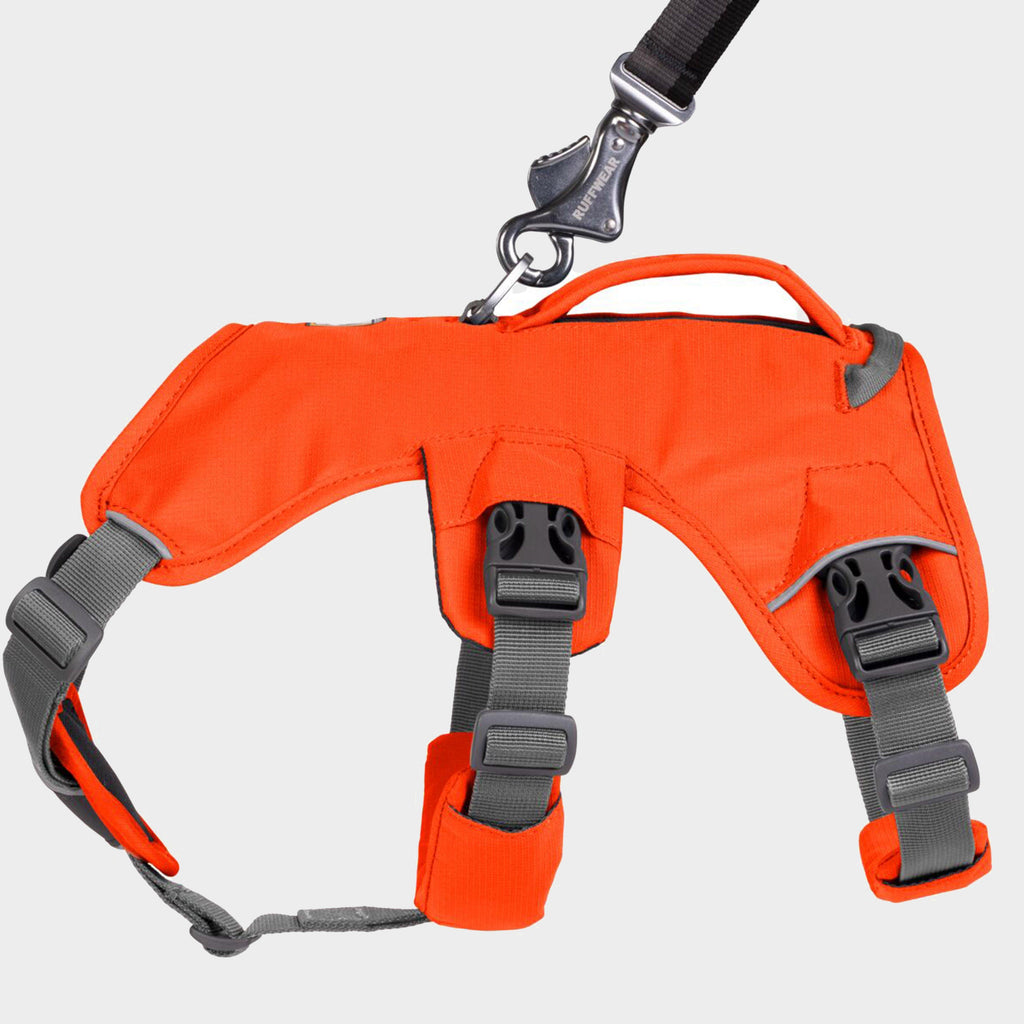 Web Master Dog Harness With Handle Blaze Orange