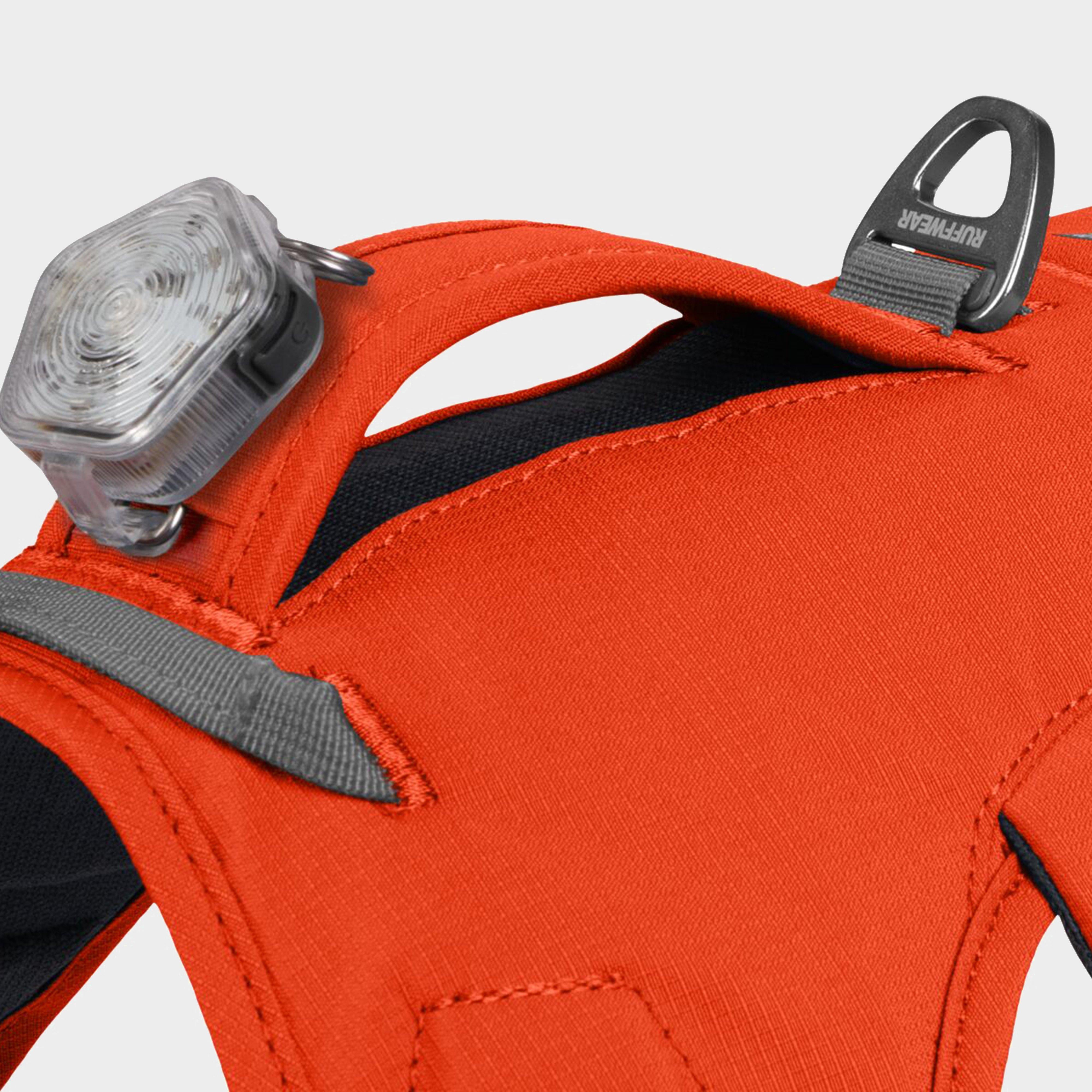 Web Master Dog Harness With Handle Blaze Orange