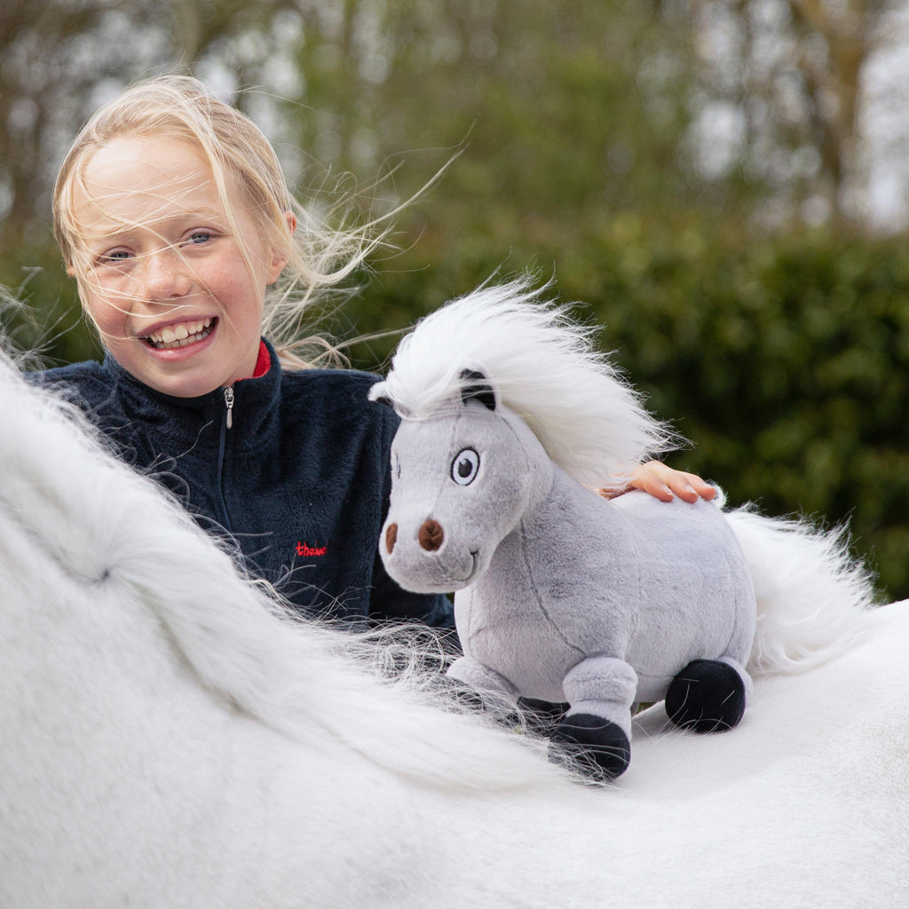 Thelwell Ponies Tarquin the Pony