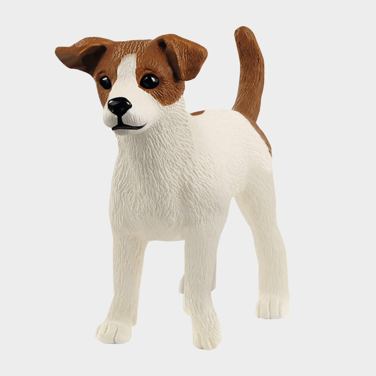 Jack Russel