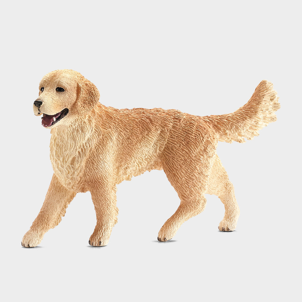 Female Golden Retriever