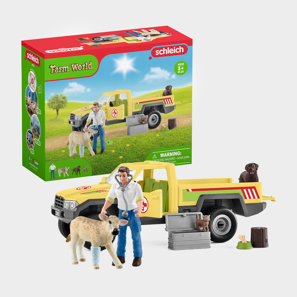 Veterinarian Visit At The Farm