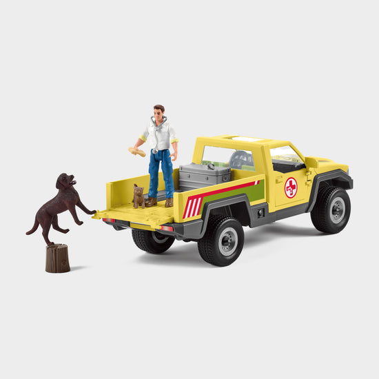 Veterinarian Visit At The Farm