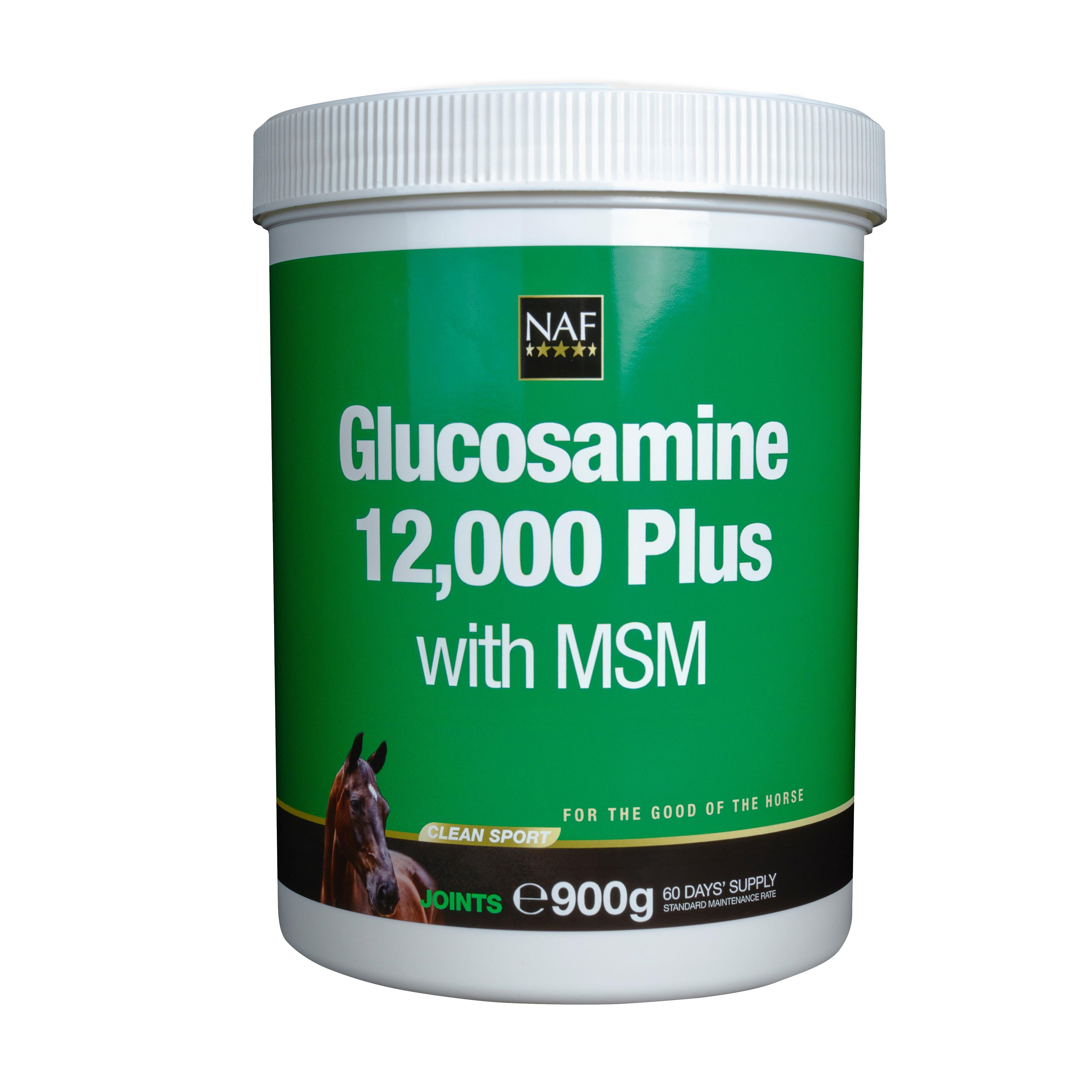 Glucosamine 12,000 Plus With MSM 900g