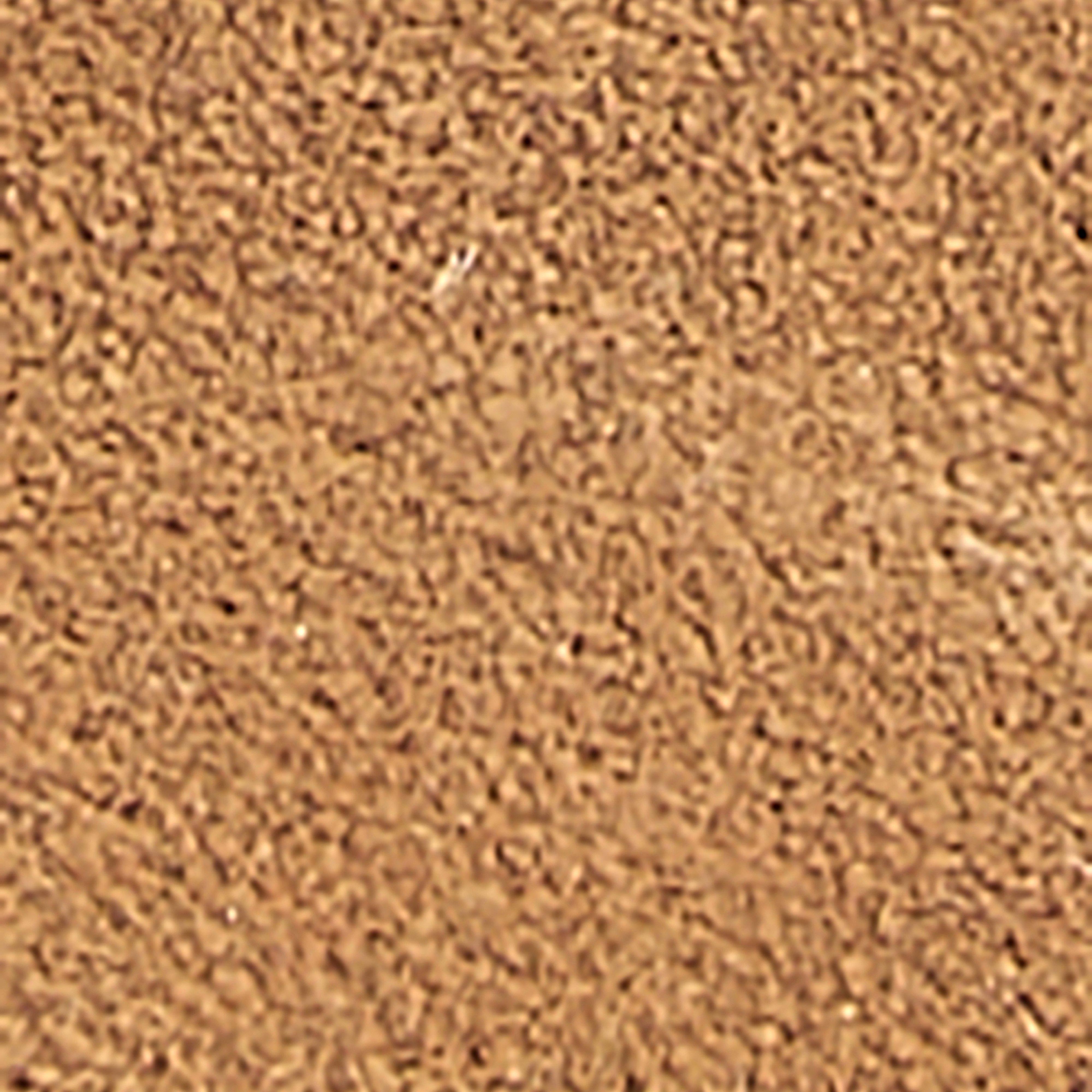 Womens Sandgate Sandals Tan Suede