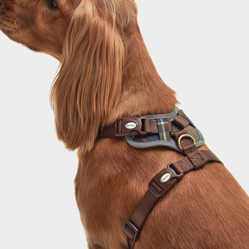 Adjustable Dog Tartan Harness Classic Tartan