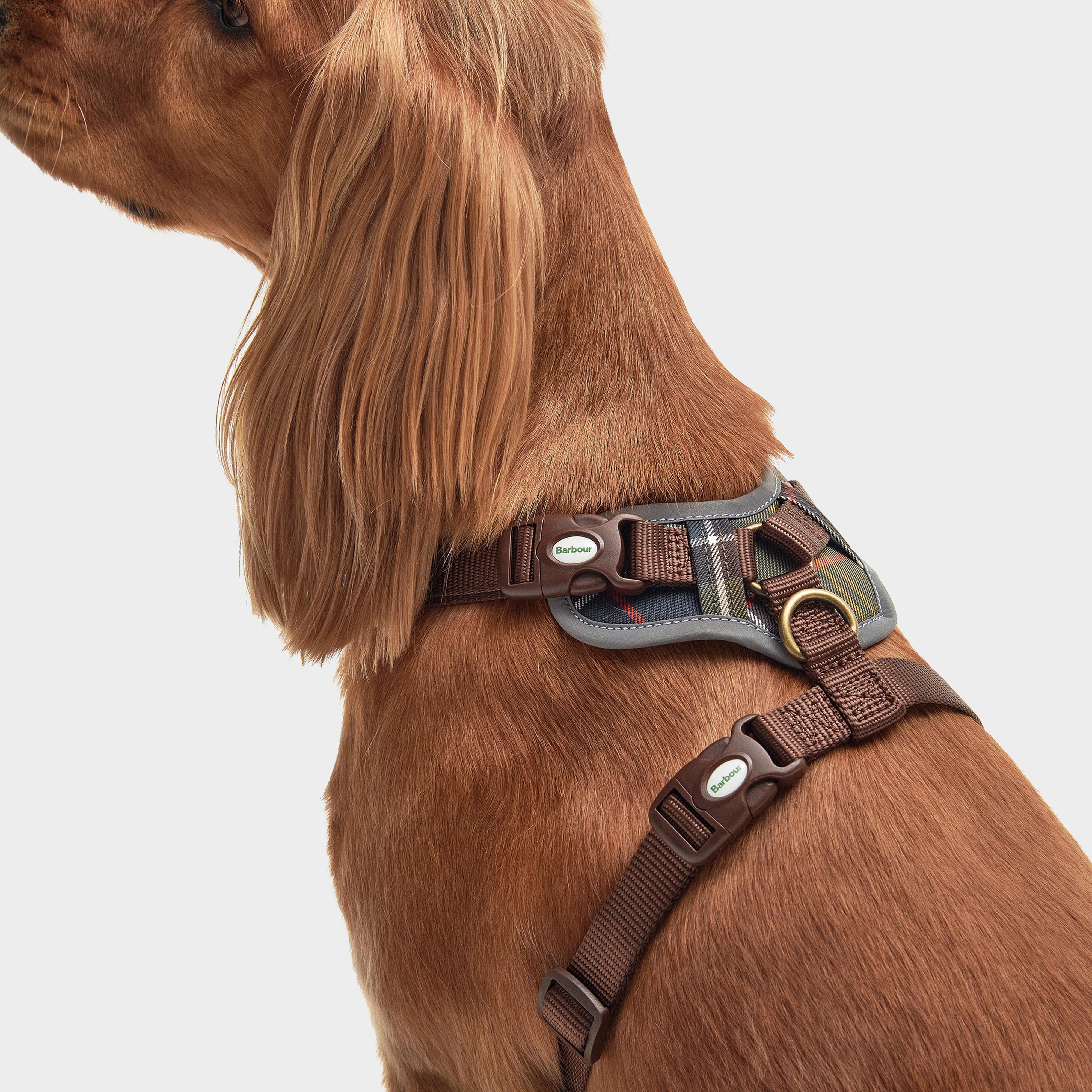 Adjustable Dog Tartan Harness Classic Tartan