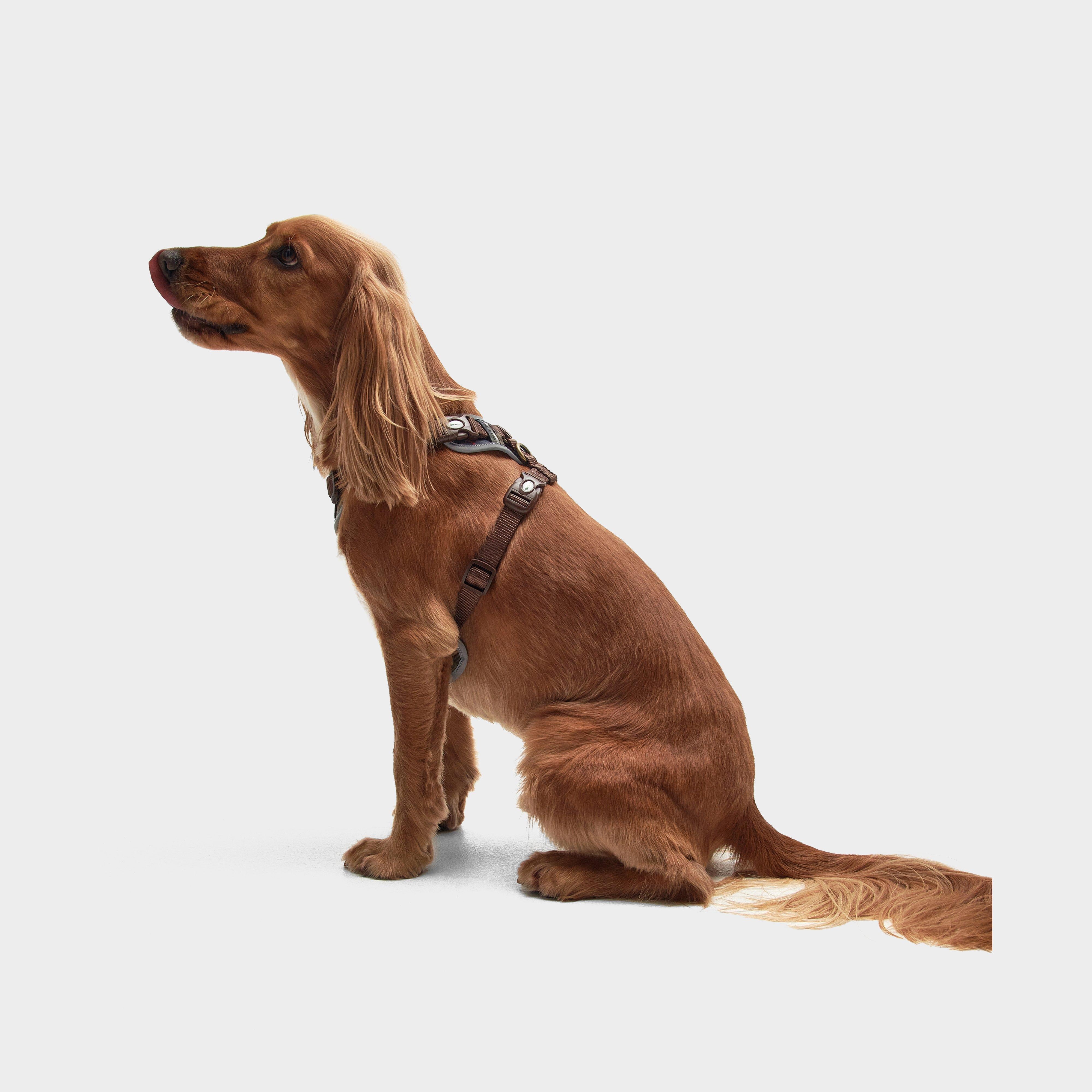 Adjustable Dog Tartan Harness Classic Tartan