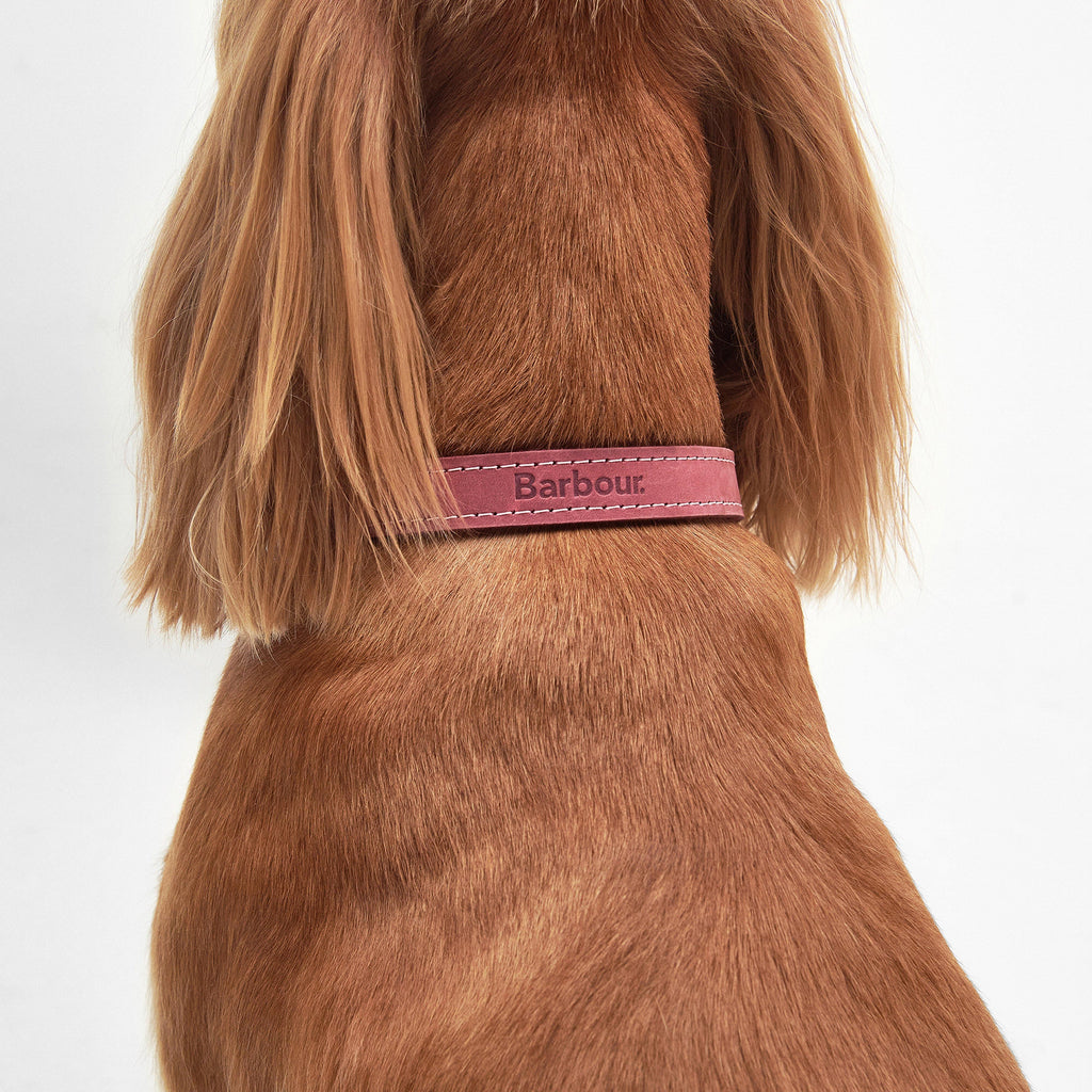 Leather Dog Collar Classic Pink