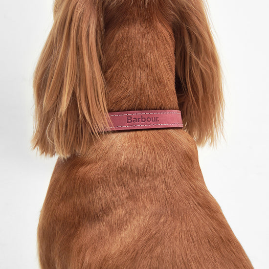 Leather Dog Collar Classic Pink