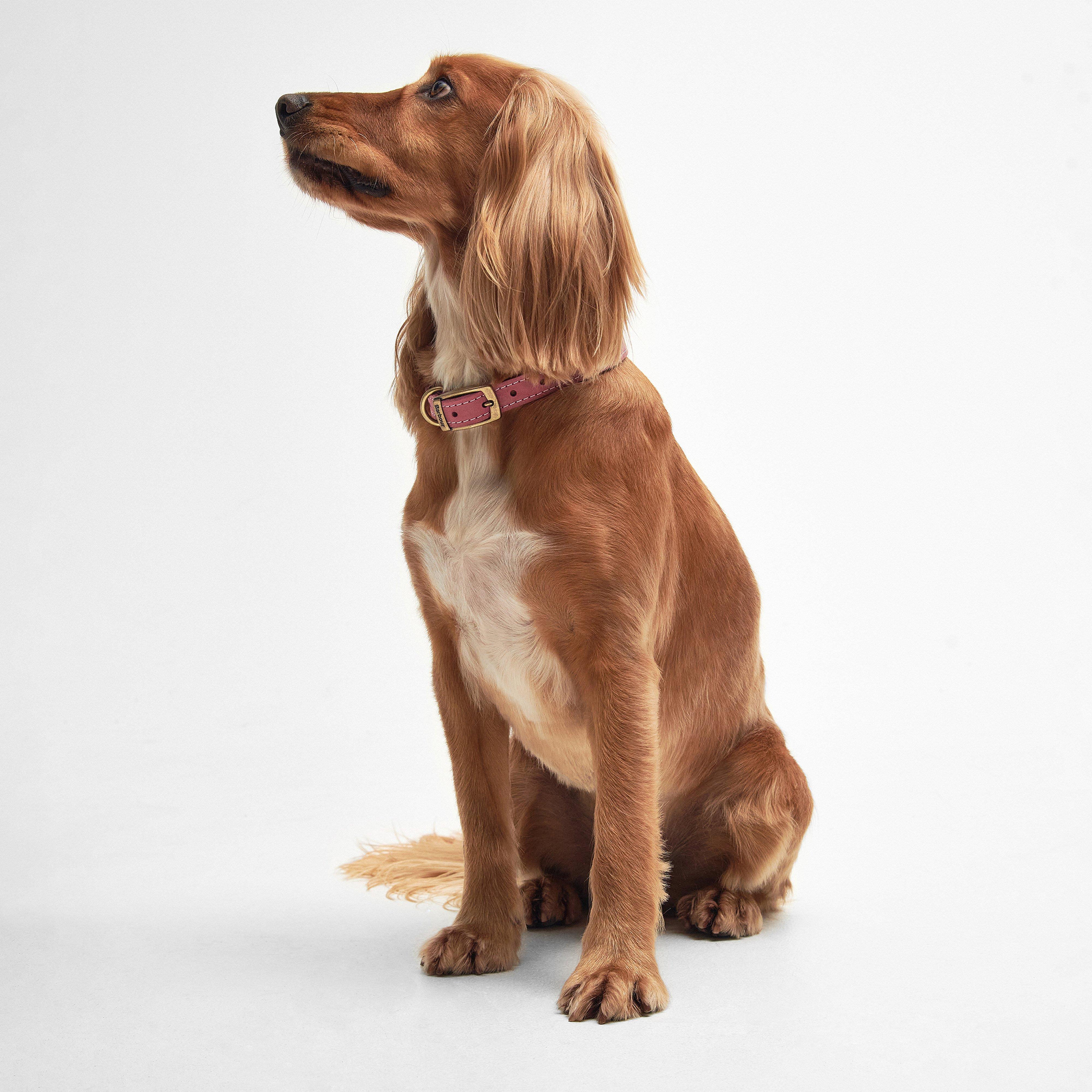 Leather Dog Collar Classic Pink