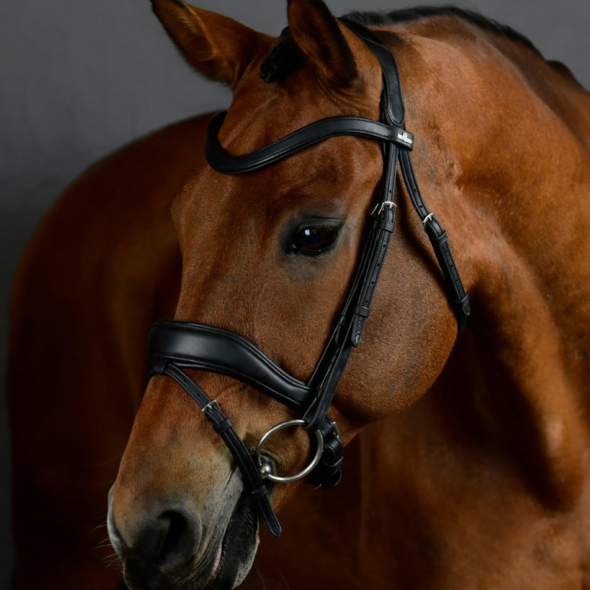 ComFiTec Opulux Padded Dressage Bridle Black