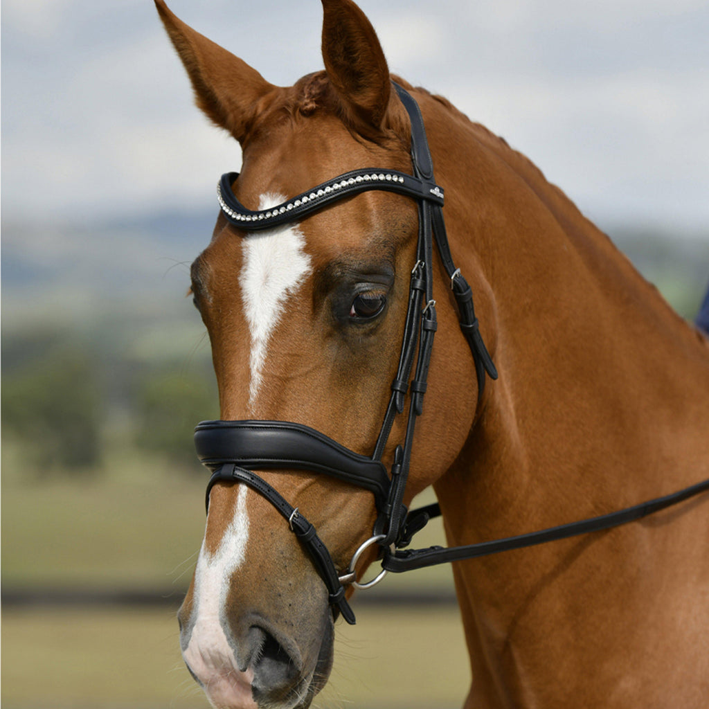 ComFiTec Opulux Padded Dressage Bridle Black