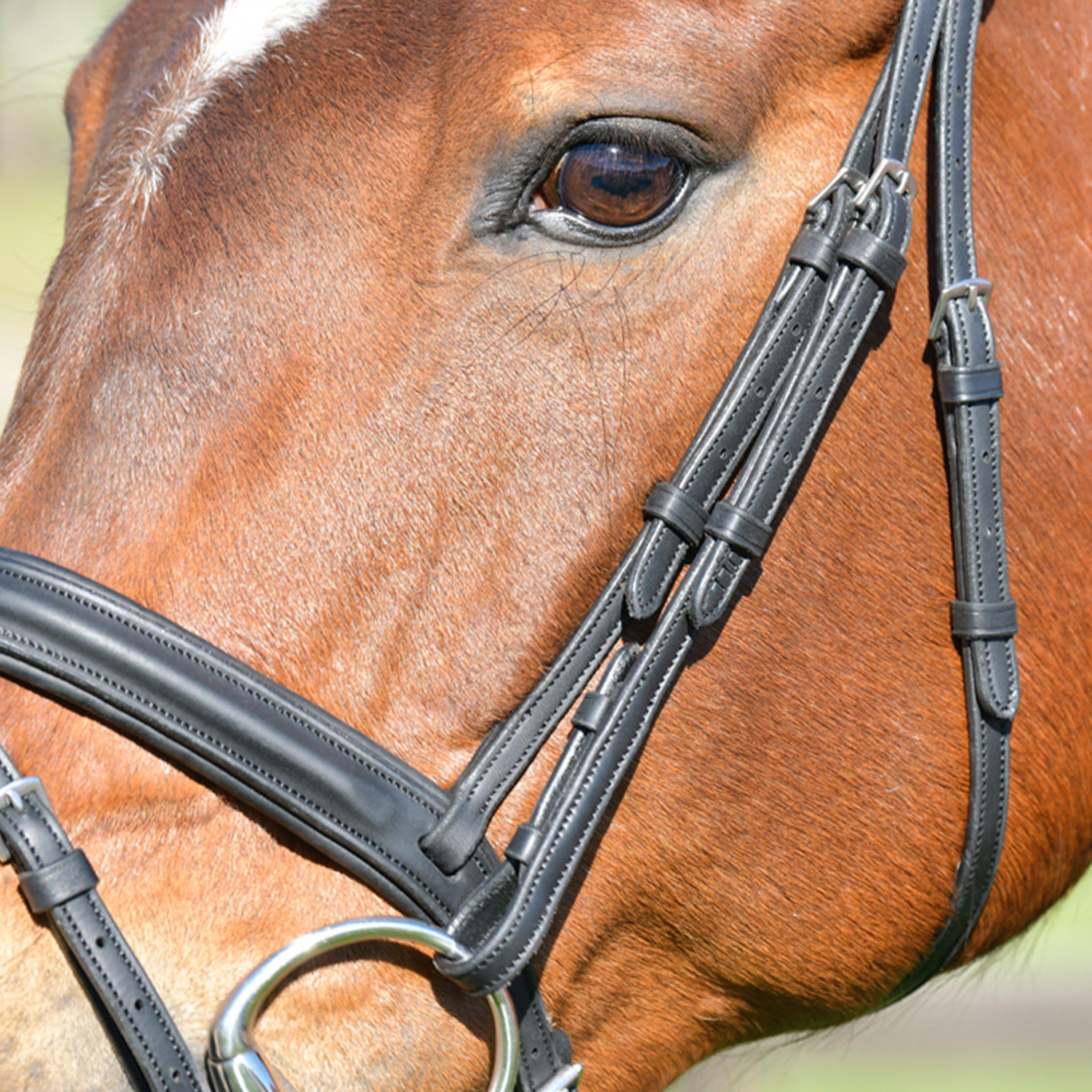 ComFiTec Opulux Plain Padded Hanoverian Flash Bridle Black