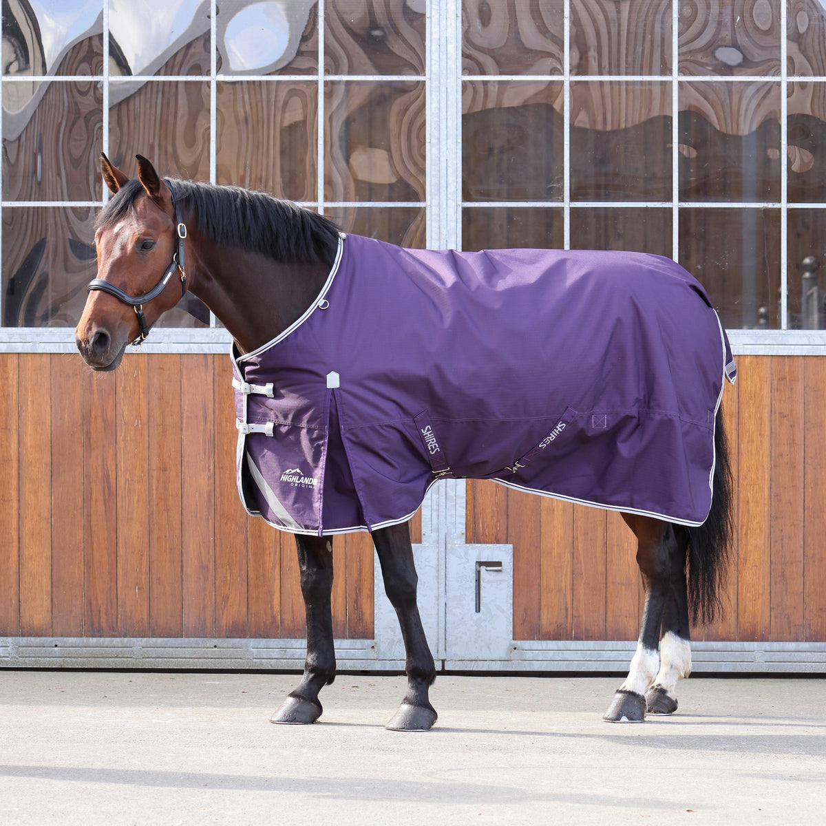 Highlander Original 100g Standard Neck Turnout Rug Plum