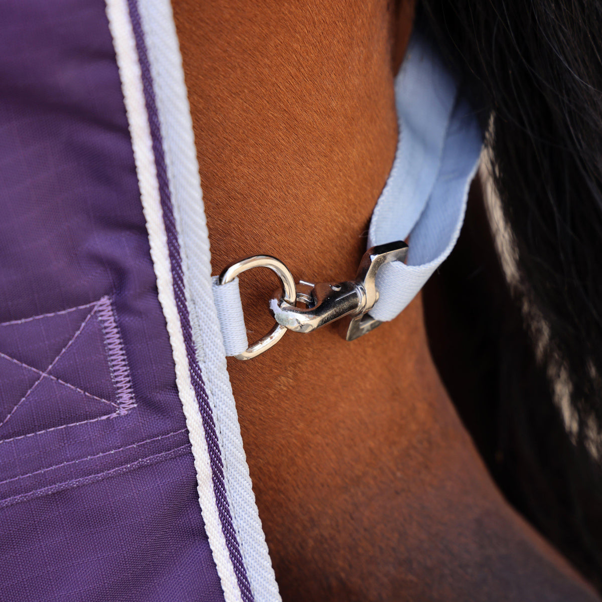 Highlander Original 100g Standard Neck Turnout Rug Plum