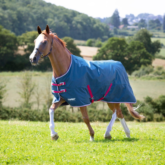 Tempest Original Lite Standard Neck 0g Turnout Rug Teal