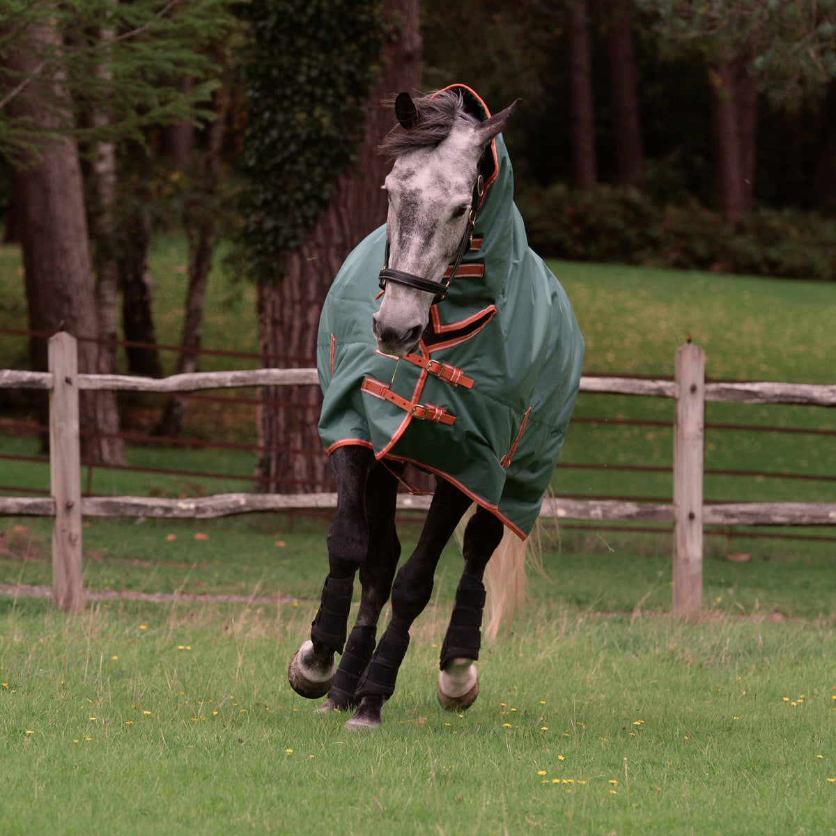 ComFiTec Tyro Combo Neck 50g Lite Plus Turnout Rug Green/Burnt Orange/White