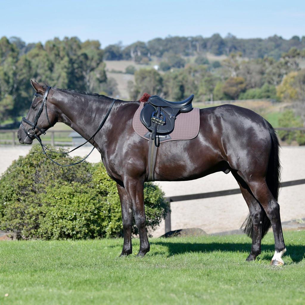 Prime Comfy Fleece All Purpose Saddle Pad Brown