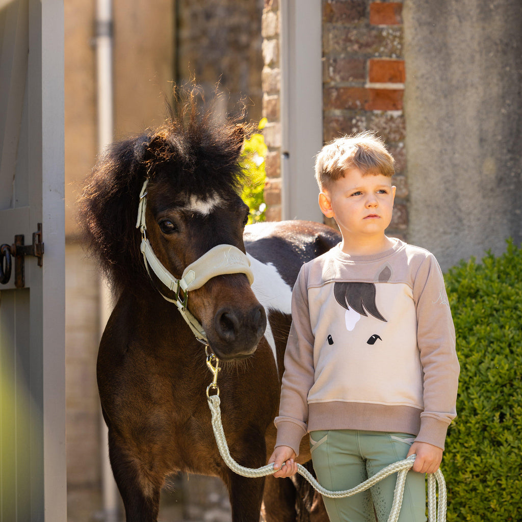 Mini Pony Sweatshirt Stone