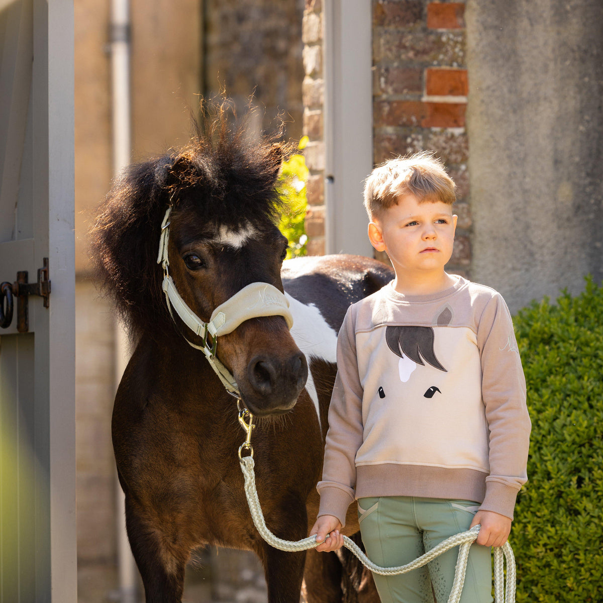 Mini Pony Sweatshirt Stone