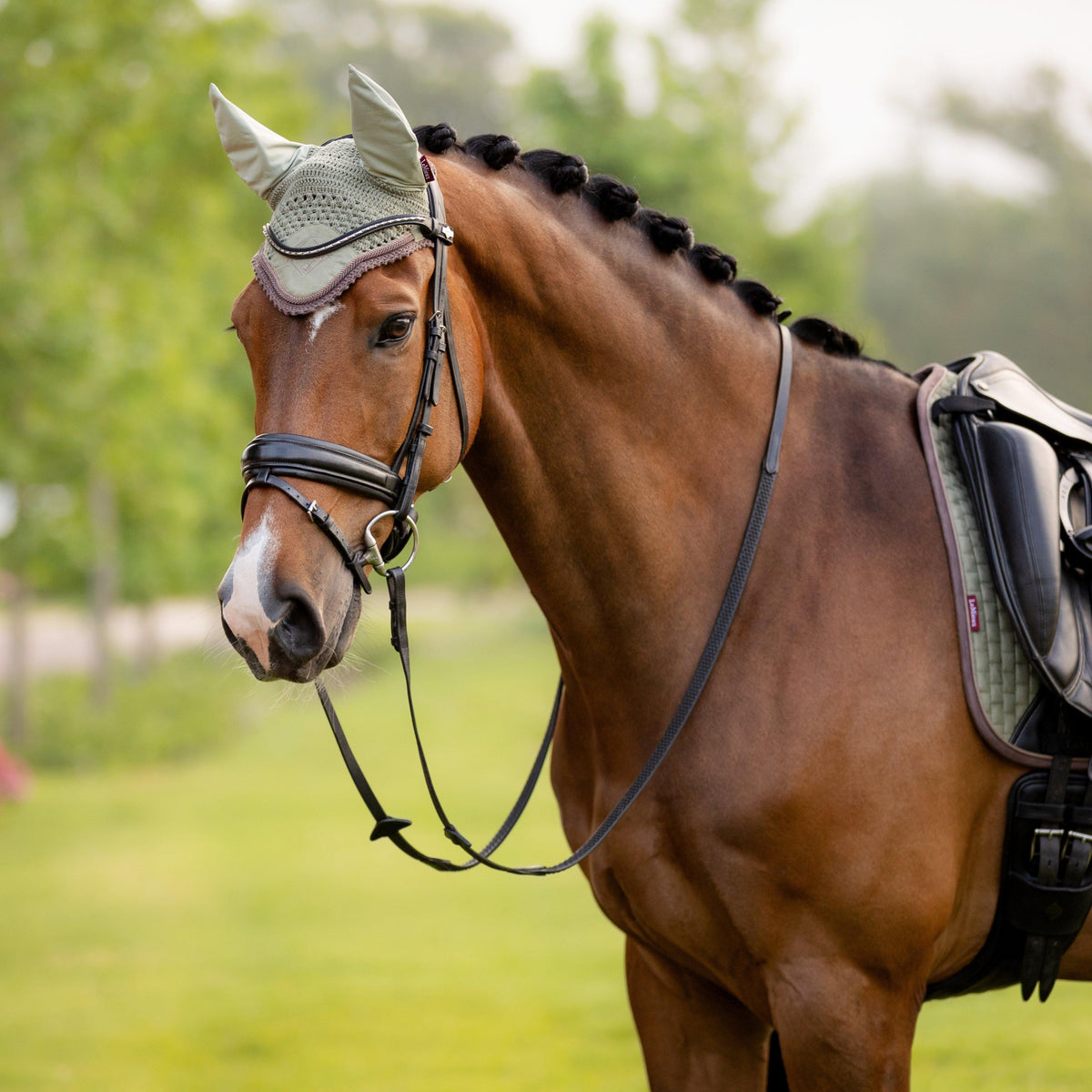 Suede Dressage Saddle Pad Fern