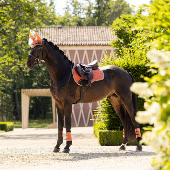 Suede GP Saddle Pad Apricot