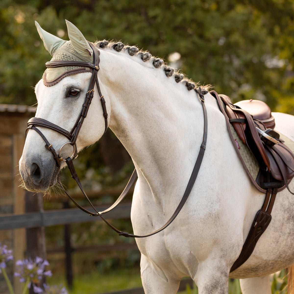 Classic Fly Hood Fern