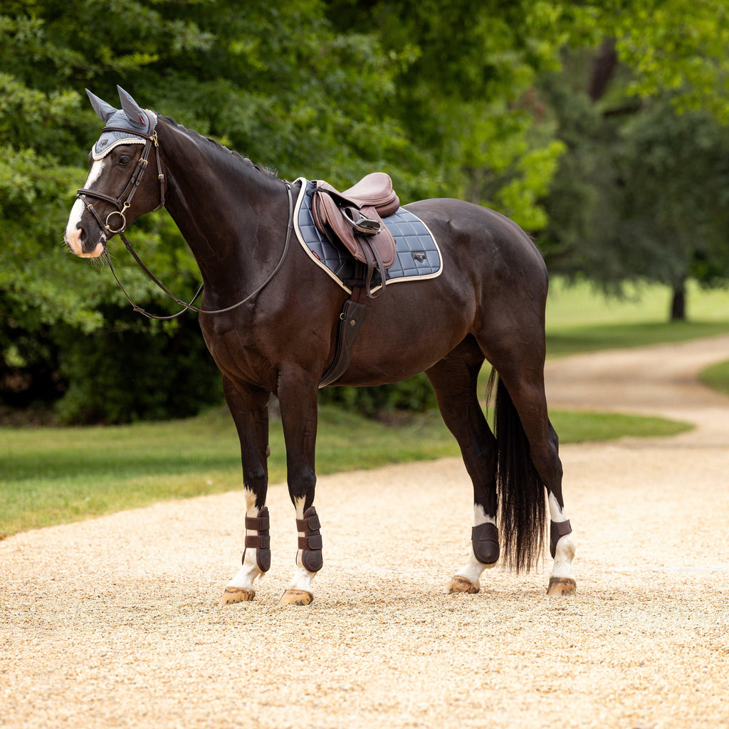 Loire Fly Veil Jay Blue