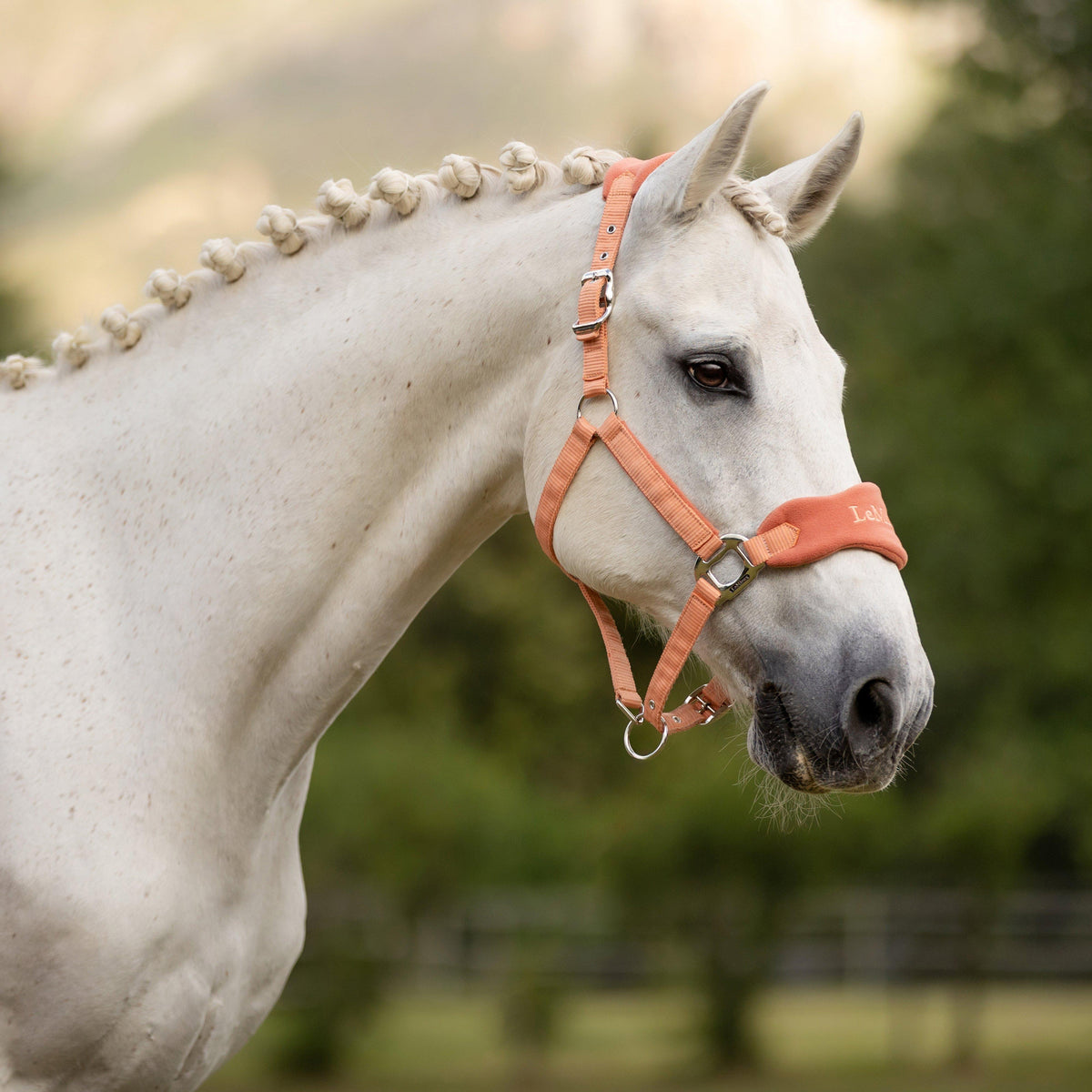 Vogue Headcollar & Leadrope Apricot