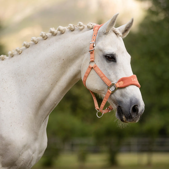 Vogue Headcollar & Leadrope Apricot