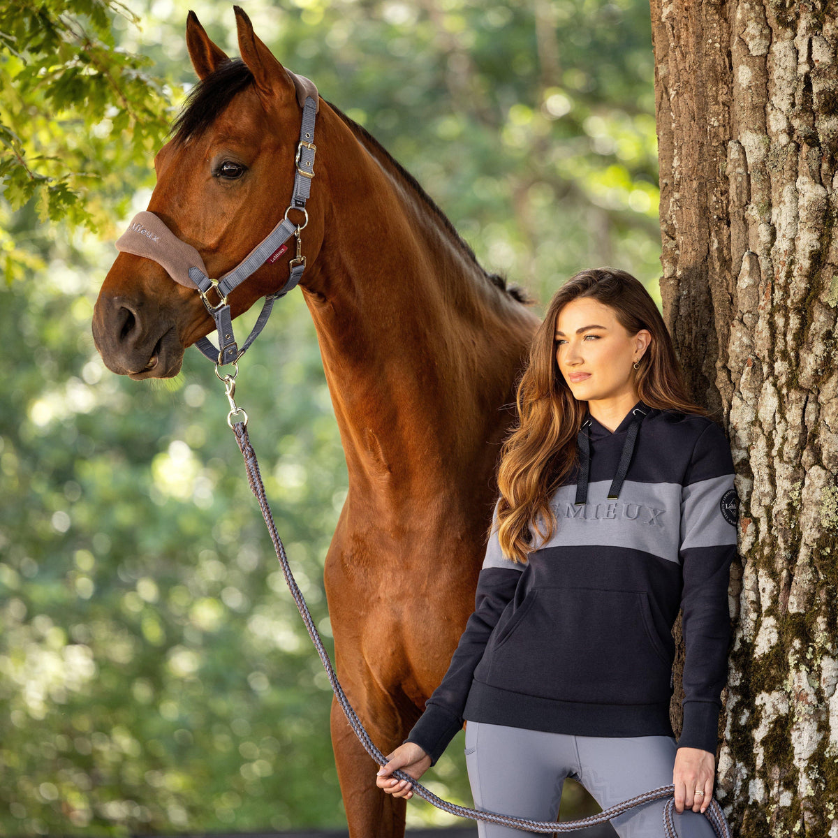 Vogue Headcollar & Leadrope Jay Blue