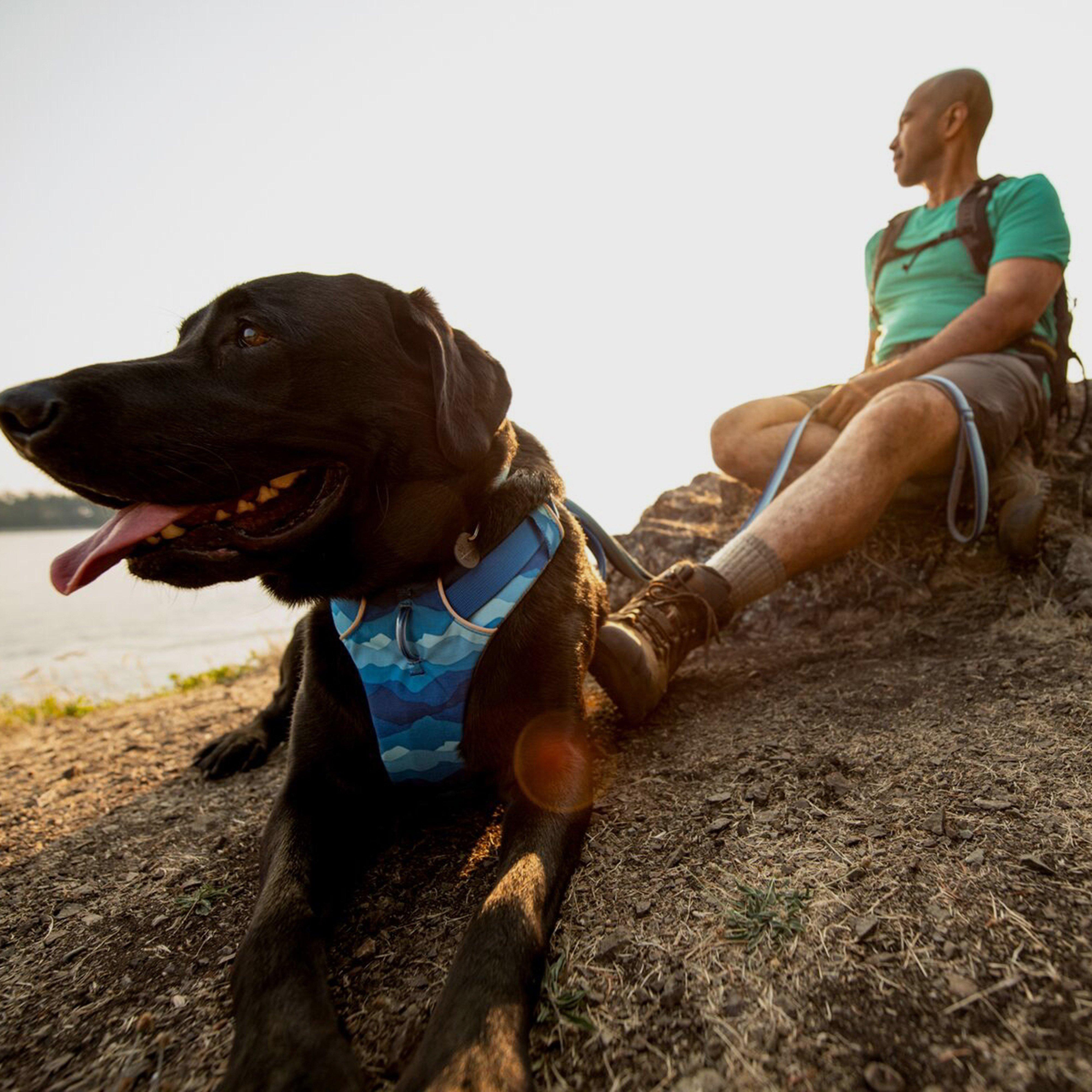 Front Range Dog Harness Coastal Mountains