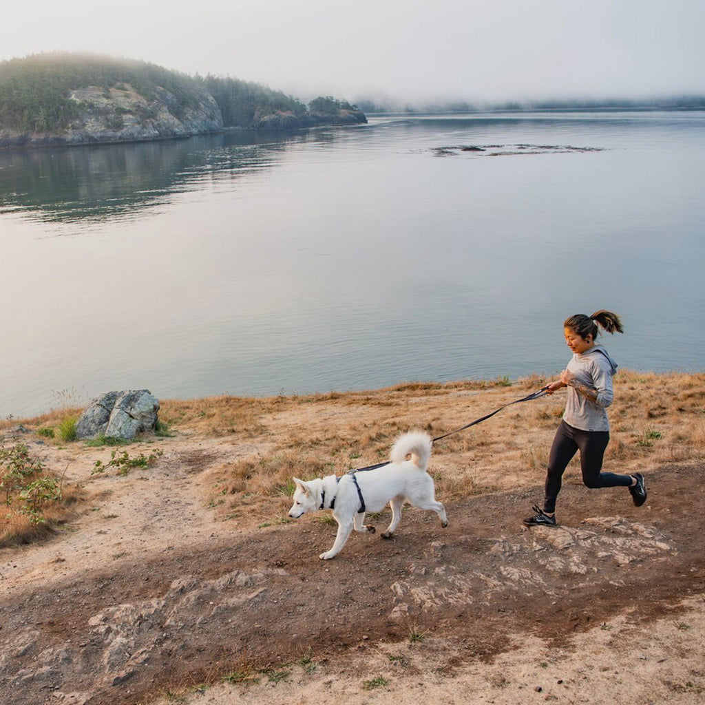 Front Range Dog Harness Red Sumac