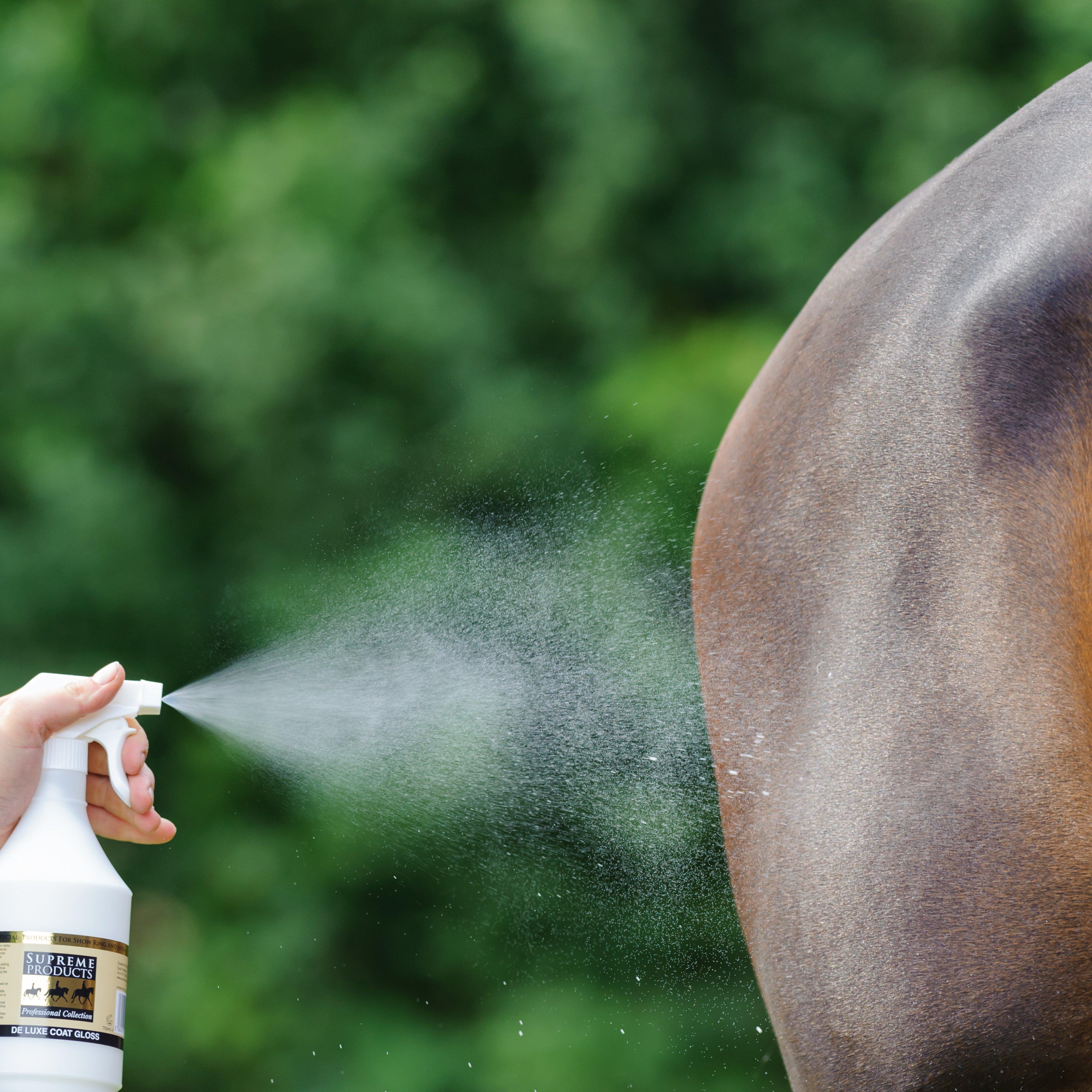 Deluxe Coat Gloss 1L