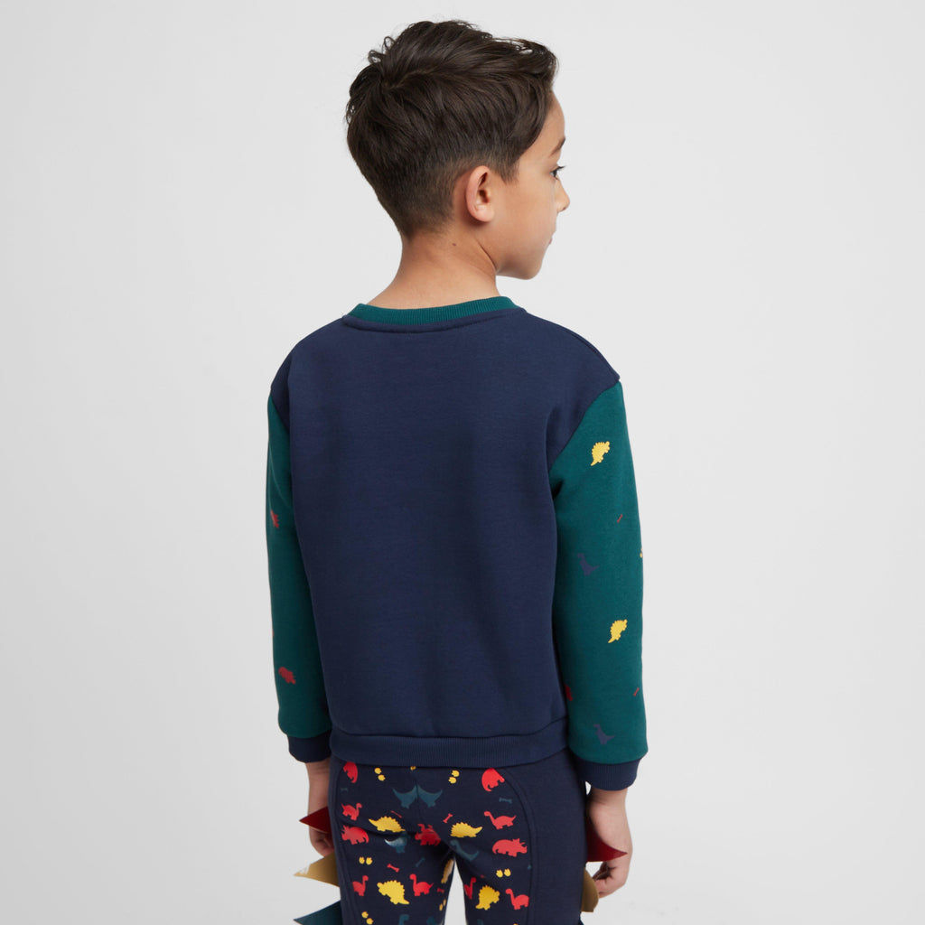 Kids Sweatshirt Dinosaur