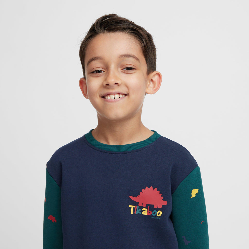 Kids Sweatshirt Dinosaur