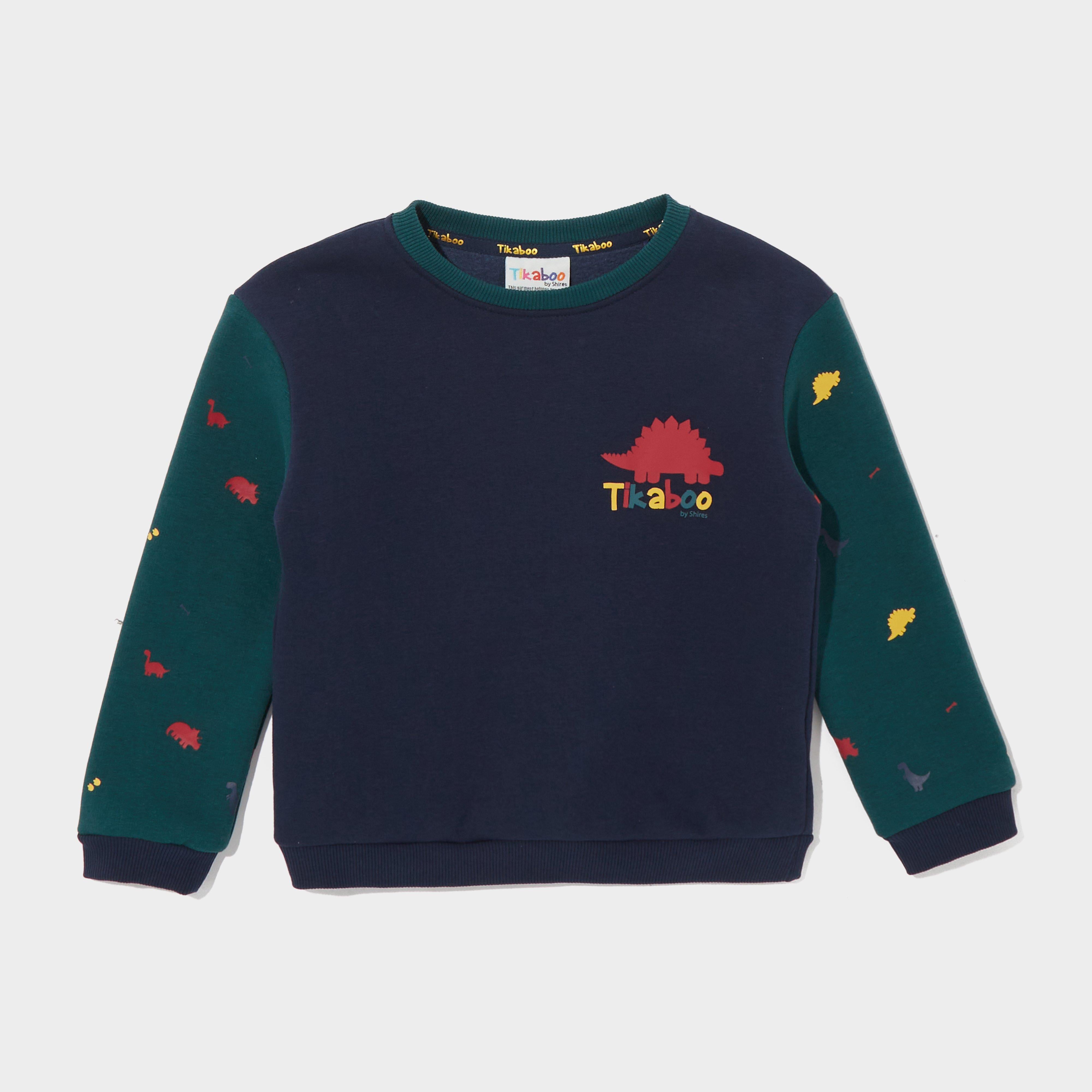 Kids Sweatshirt Dinosaur
