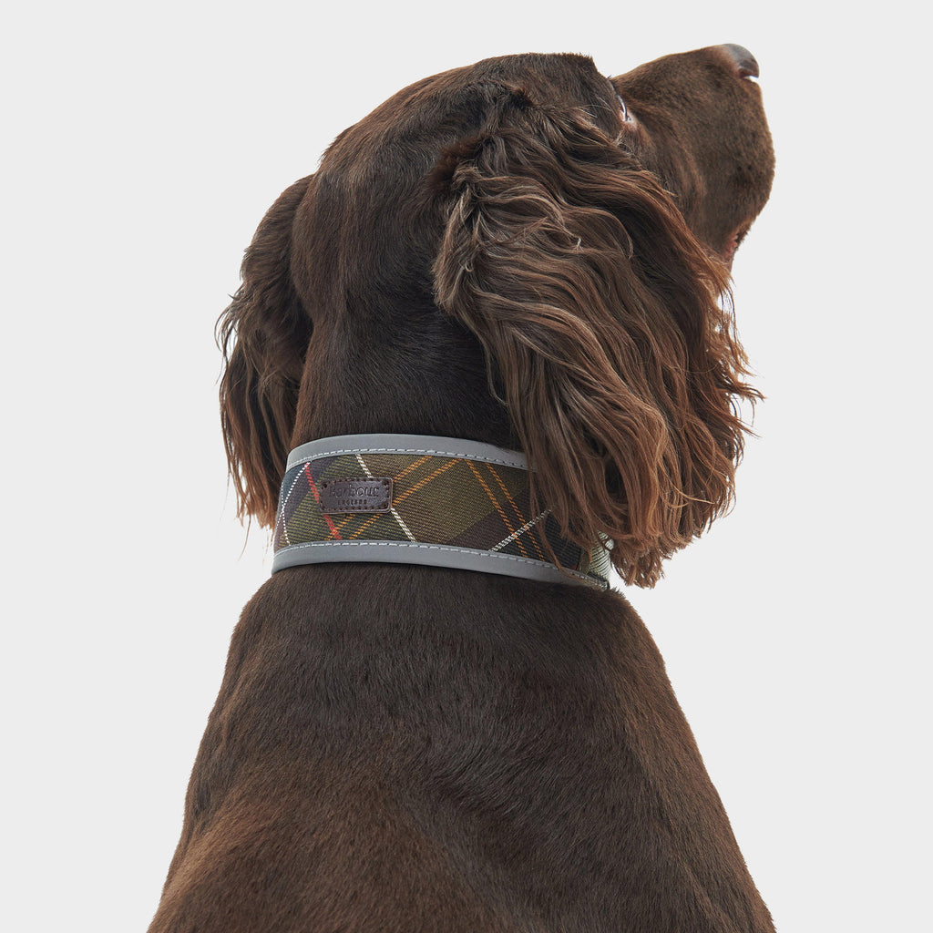 Reflective Tartan Comfort Collar Classic Tartan