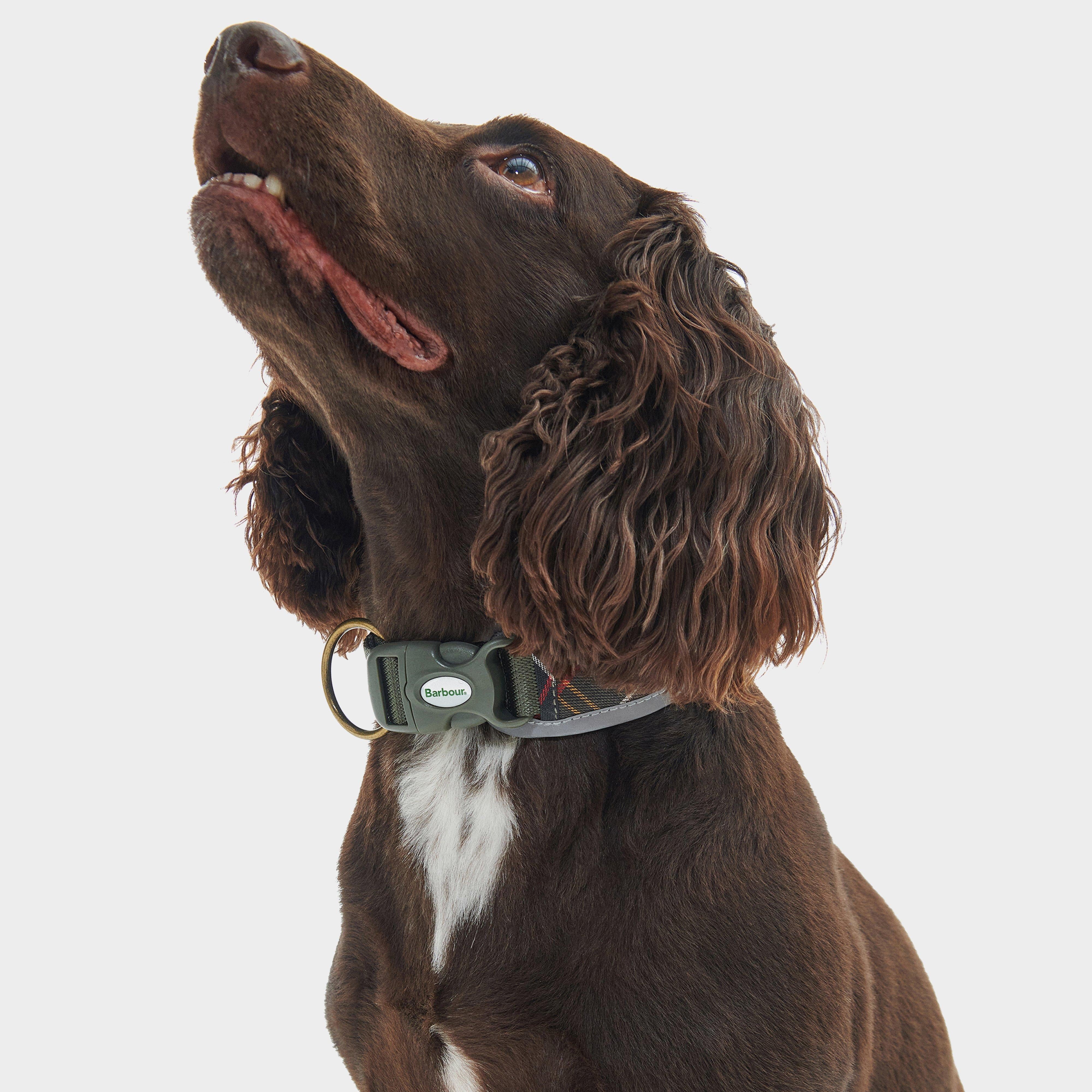 Reflective Tartan Comfort Collar Classic Tartan