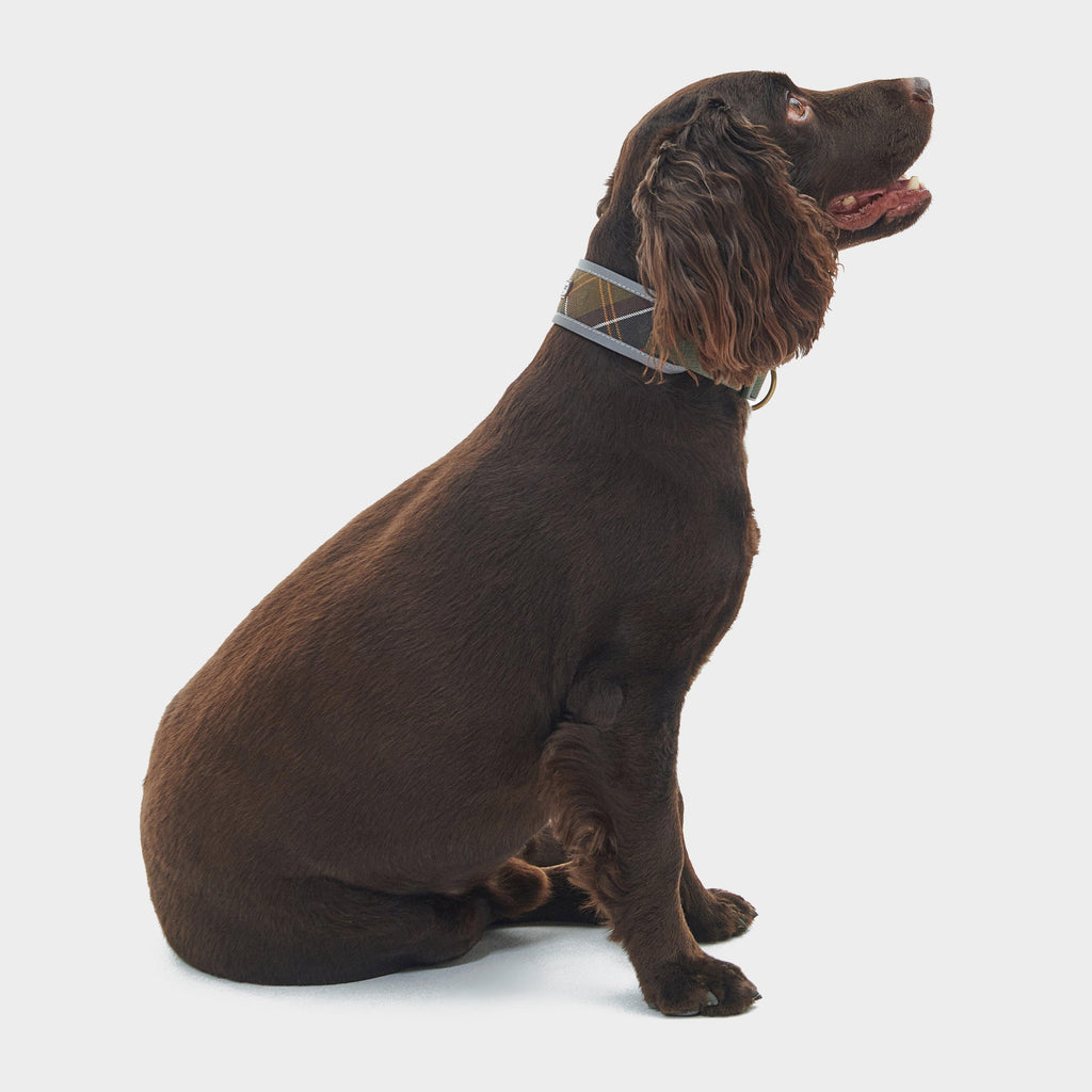 Reflective Tartan Comfort Collar Classic Tartan