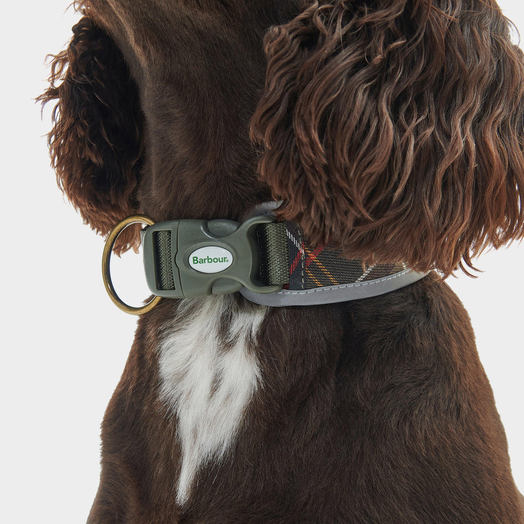 Reflective Tartan Comfort Collar Classic Tartan