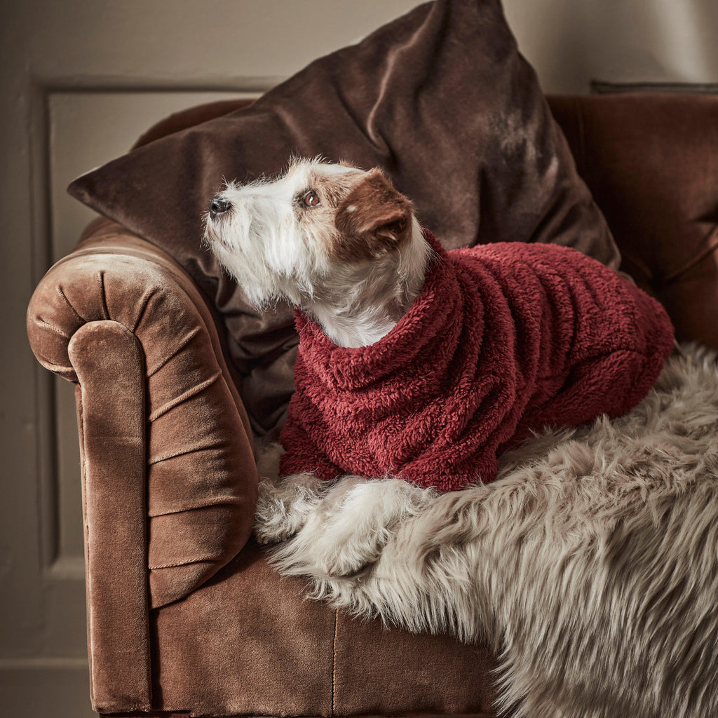 Teddy Fleece Dog Jumper Red