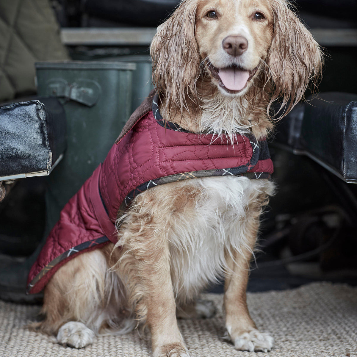 Dog Bone Quilted Dog Coat Cranberry