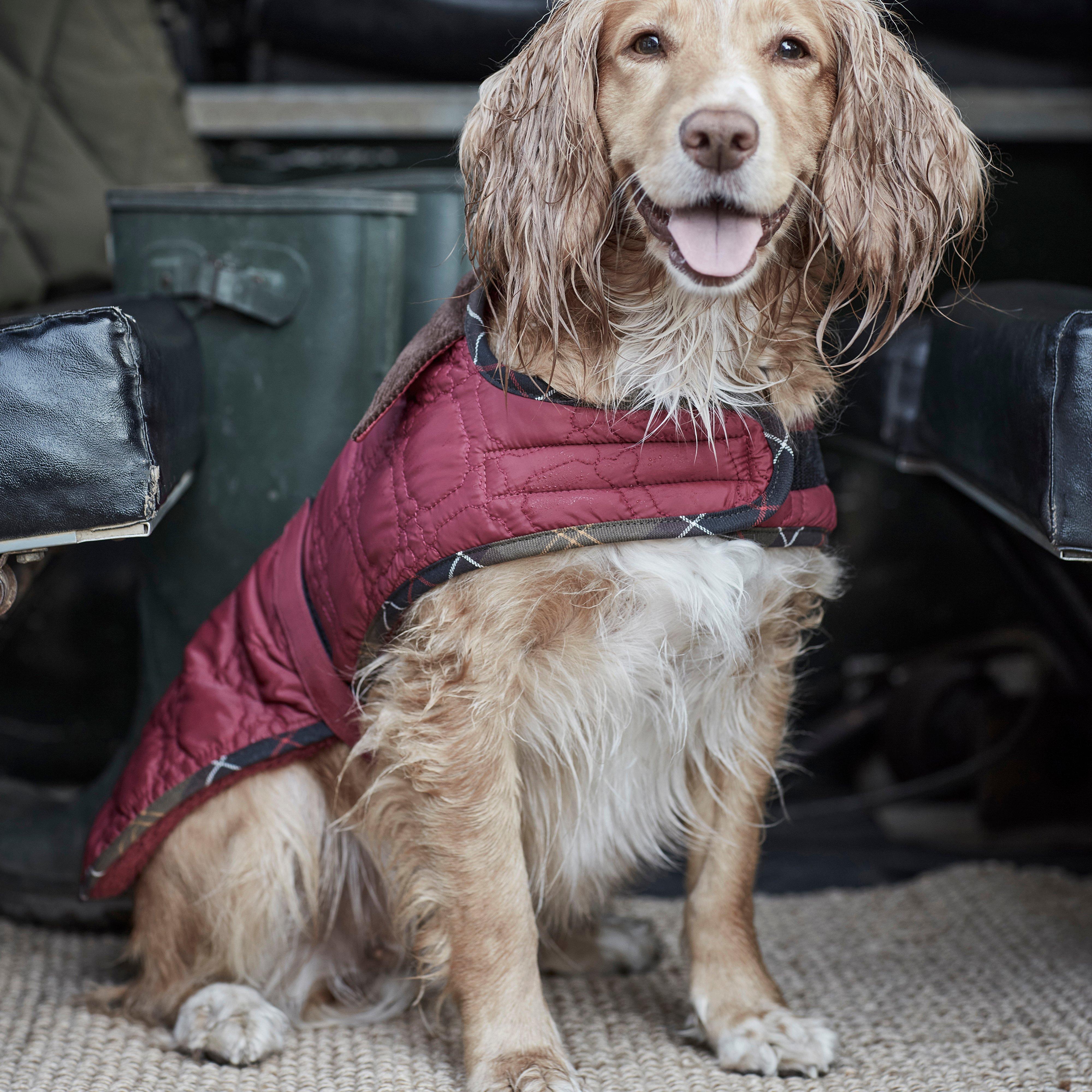 Dog Bone Quilted Dog Coat Cranberry