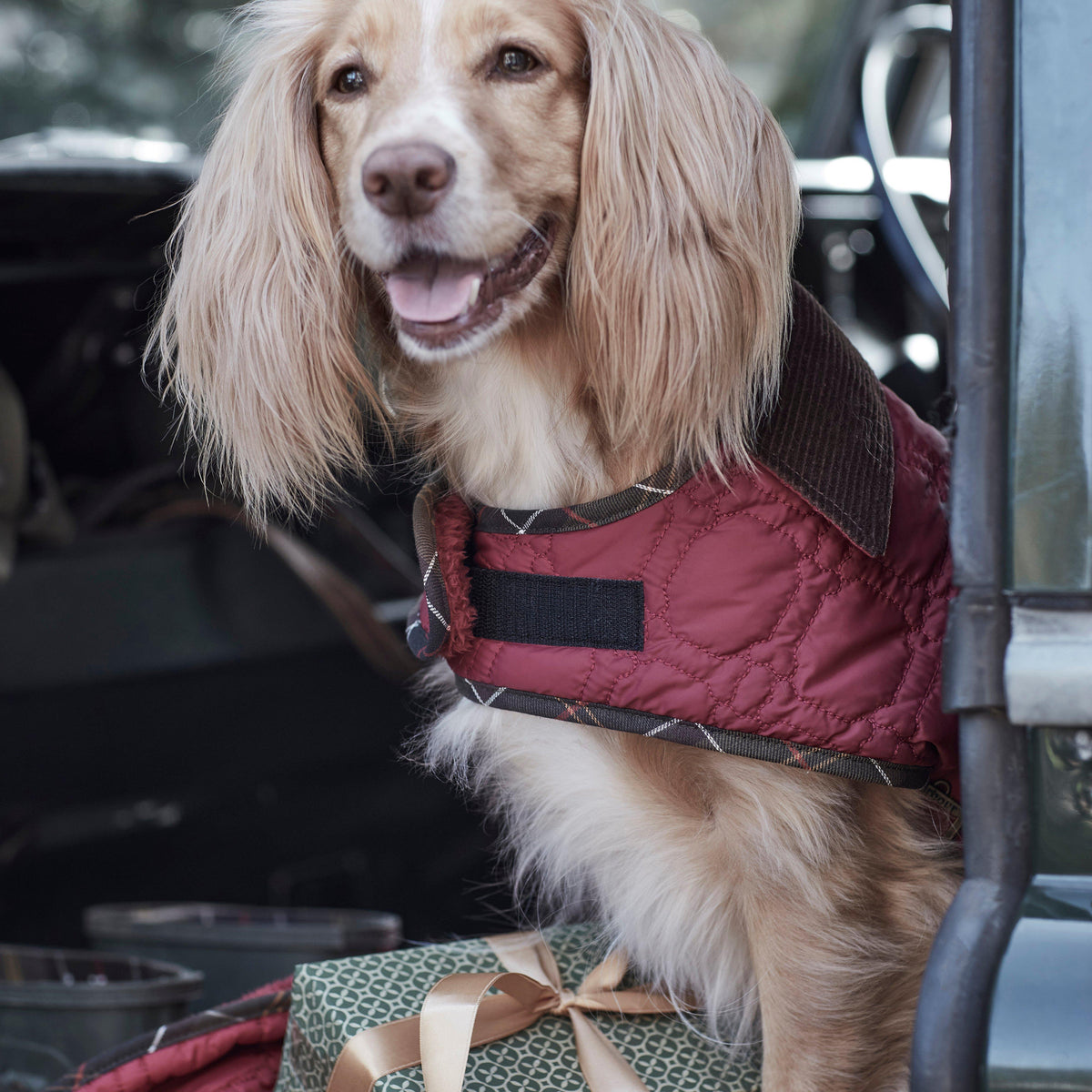 Dog Bone Quilted Dog Coat Cranberry
