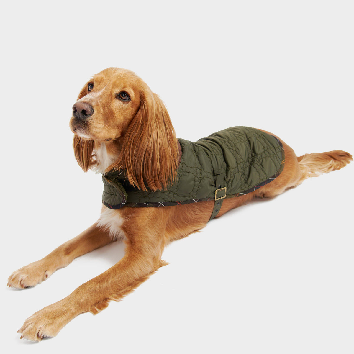 Dog Bone Quilted Dog Coat Dark Olive