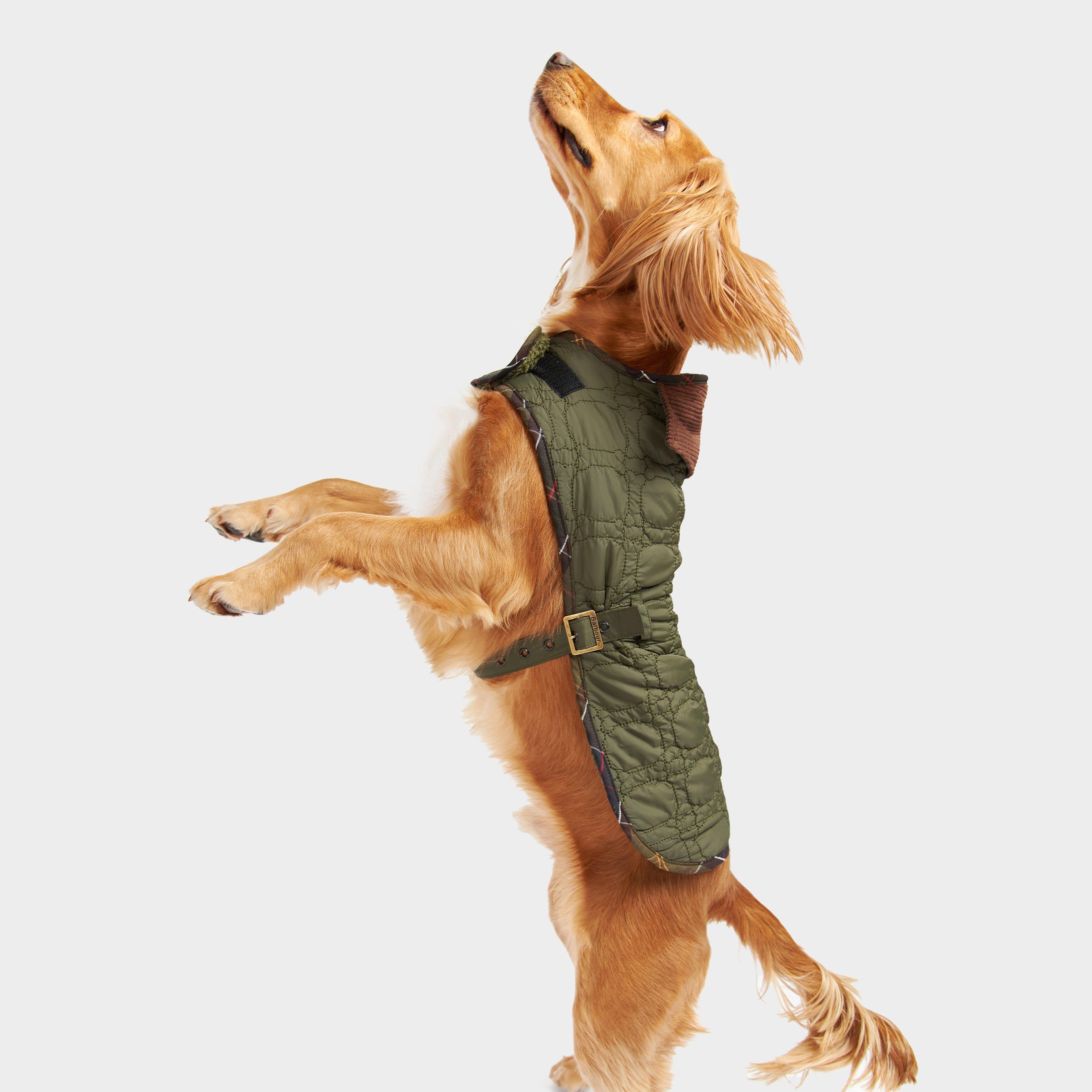 Dog Bone Quilted Dog Coat Dark Olive