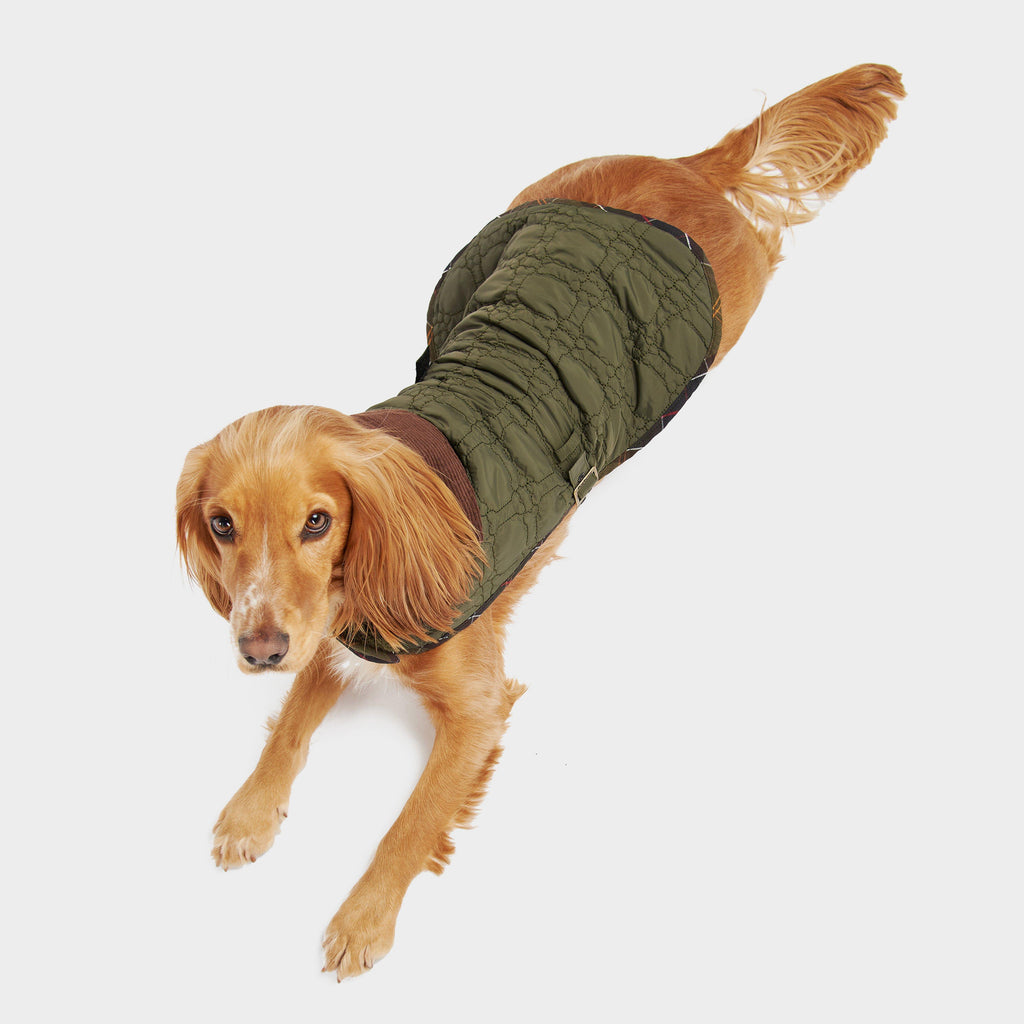 Dog Bone Quilted Dog Coat Dark Olive