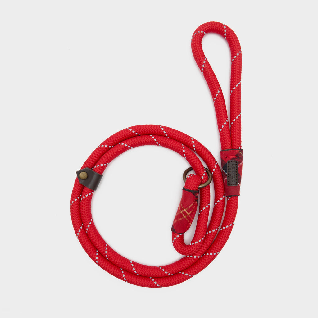 Reflective Dog Slip Lead Red
